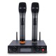 Wireless Microphone  W207